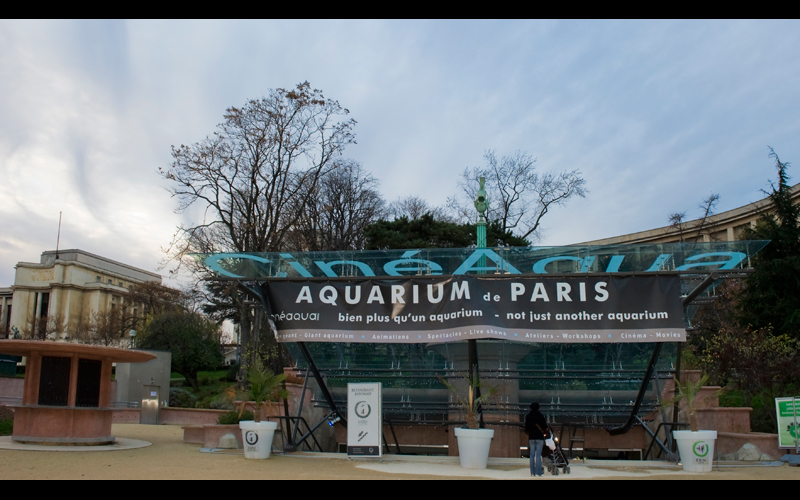 L&A Music: Concert Aquarium Paris